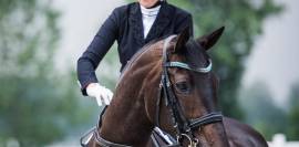 Ke koním mě to táhlo od malička