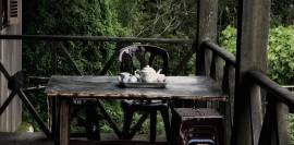 Celoroční terasy nabízejí oázu klidu a pohody