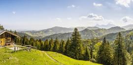 Chalupy jdou na dračku. Jak toho využít?