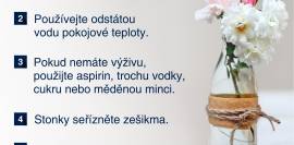 Jak udržet řezané květiny fit